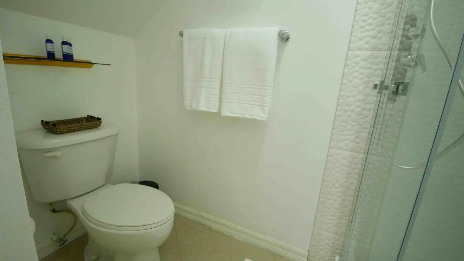 Exquisite Guest Apartments Cattleya Kingston