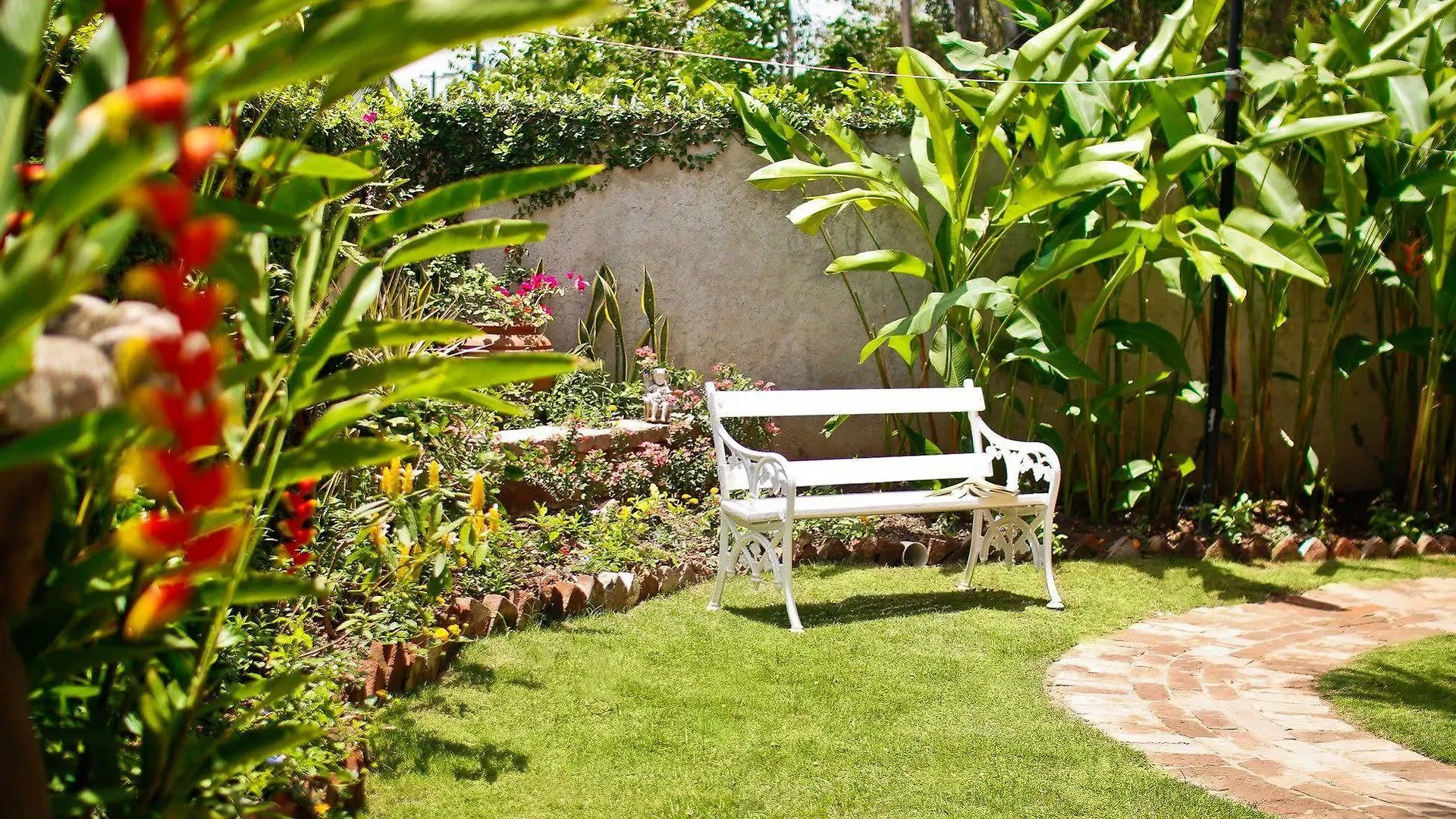Exquisite Guest Apartments Cattleya Kingston
