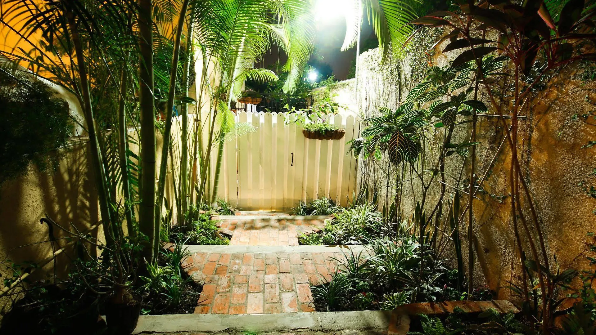 Exquisite Guest Apartments Cattleya Kingston