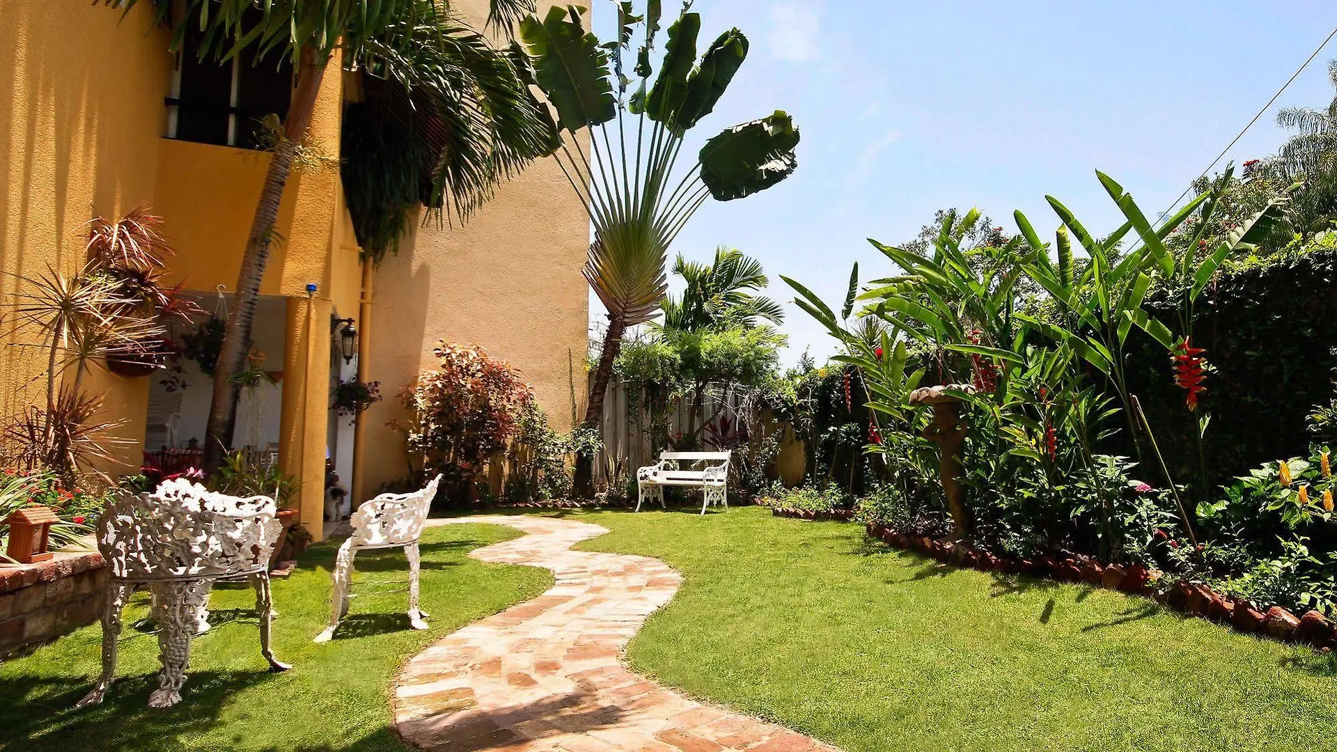 Exquisite Guest Apartments Cattleya Kingston Jamaïque