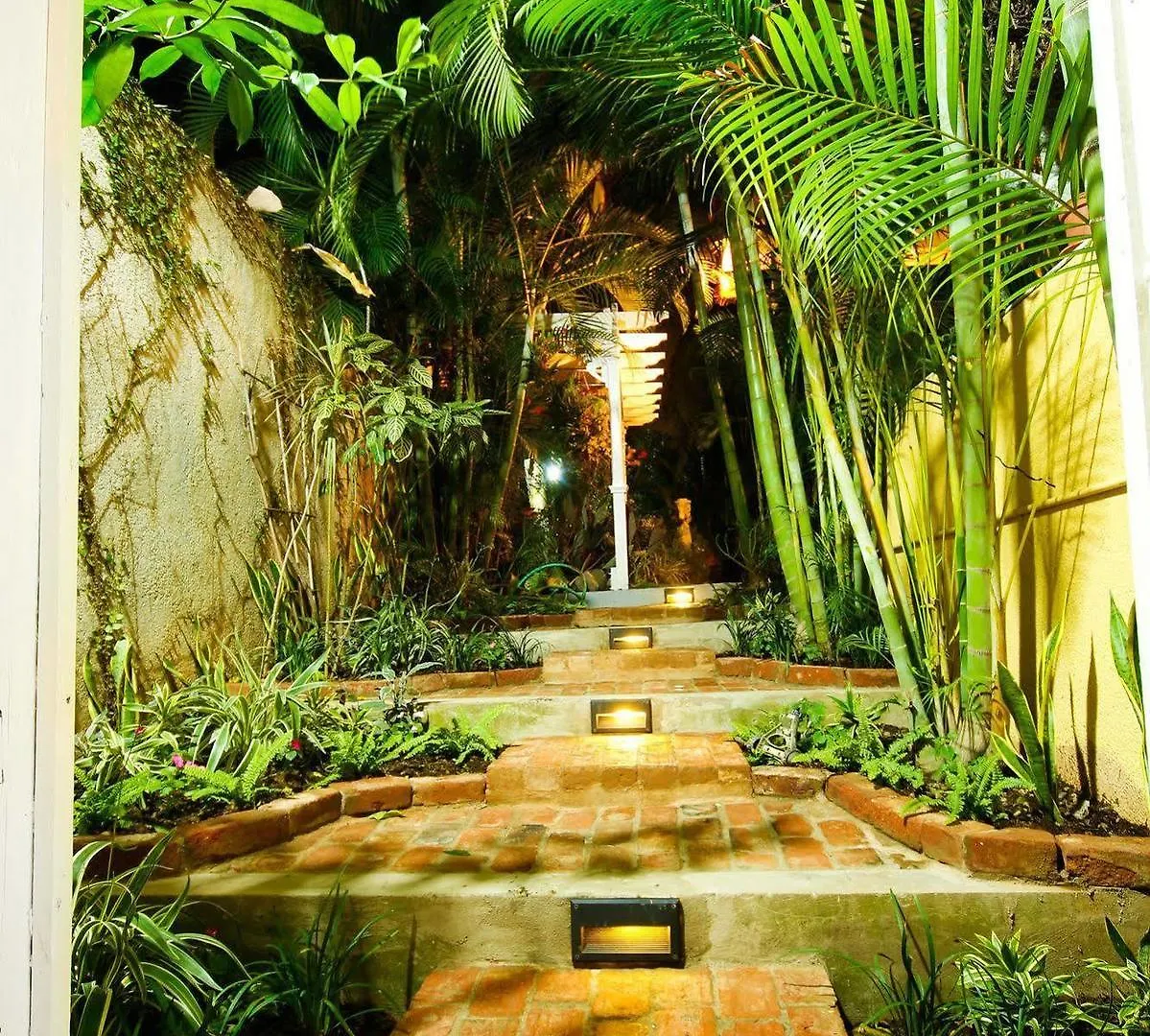 Exquisite Guest Apartments Cattleya Kingston 0*,  Jamaïque